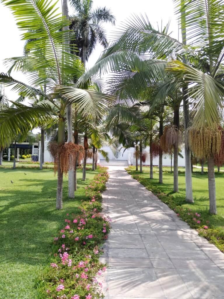 The garden at the Pedro de Osma Museum